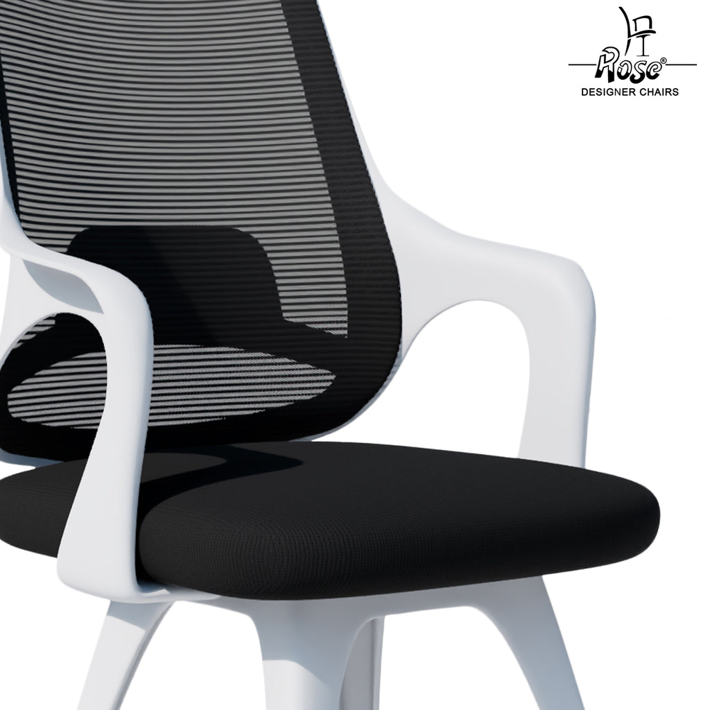 Mono White and Black