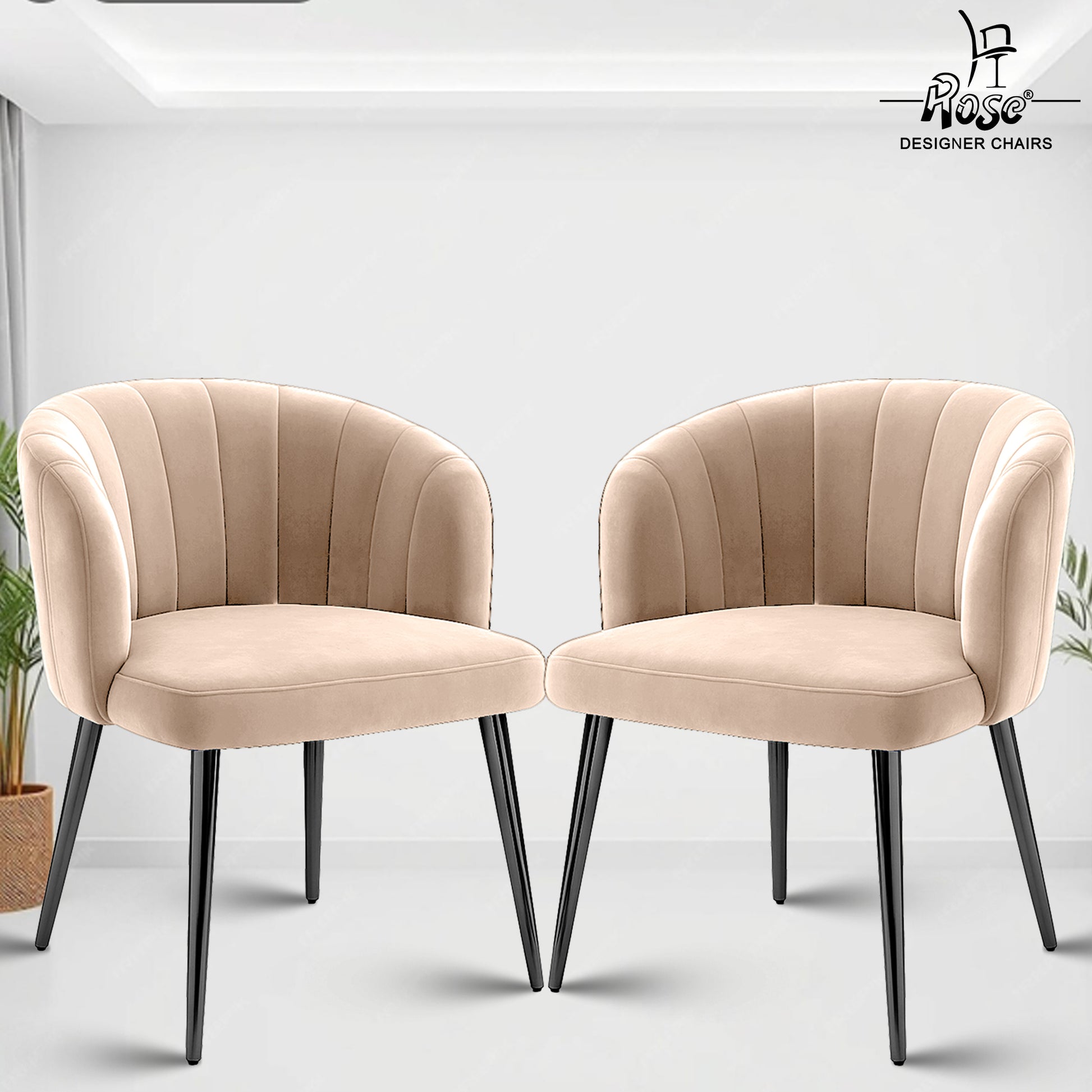 Classic Cream set of 02