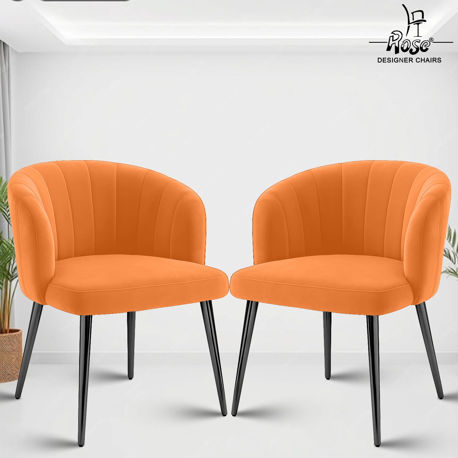 Apricot Orange Set of 02