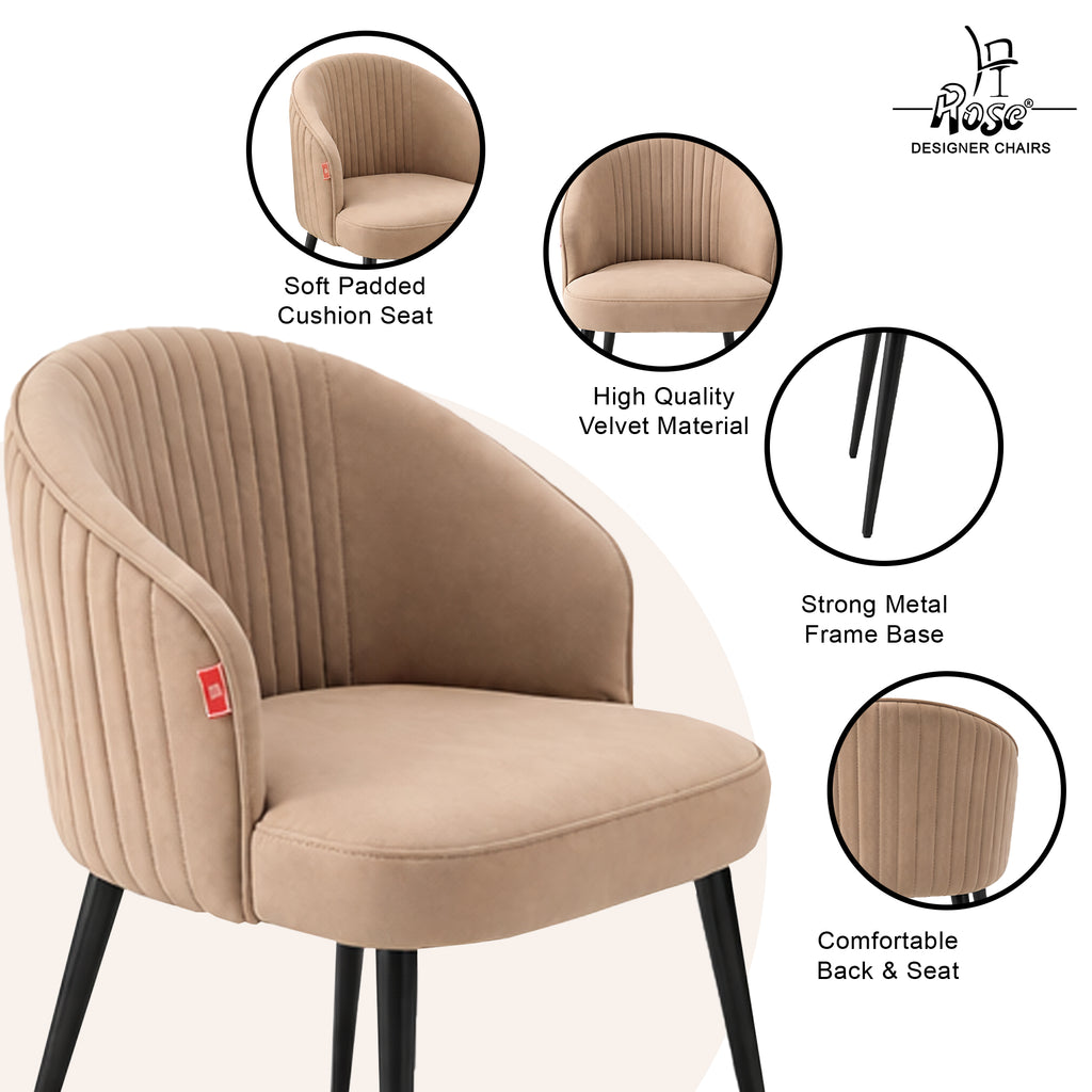 Noor Valvet Arm Dining Chair(Classic Cream) Set of 2 Features