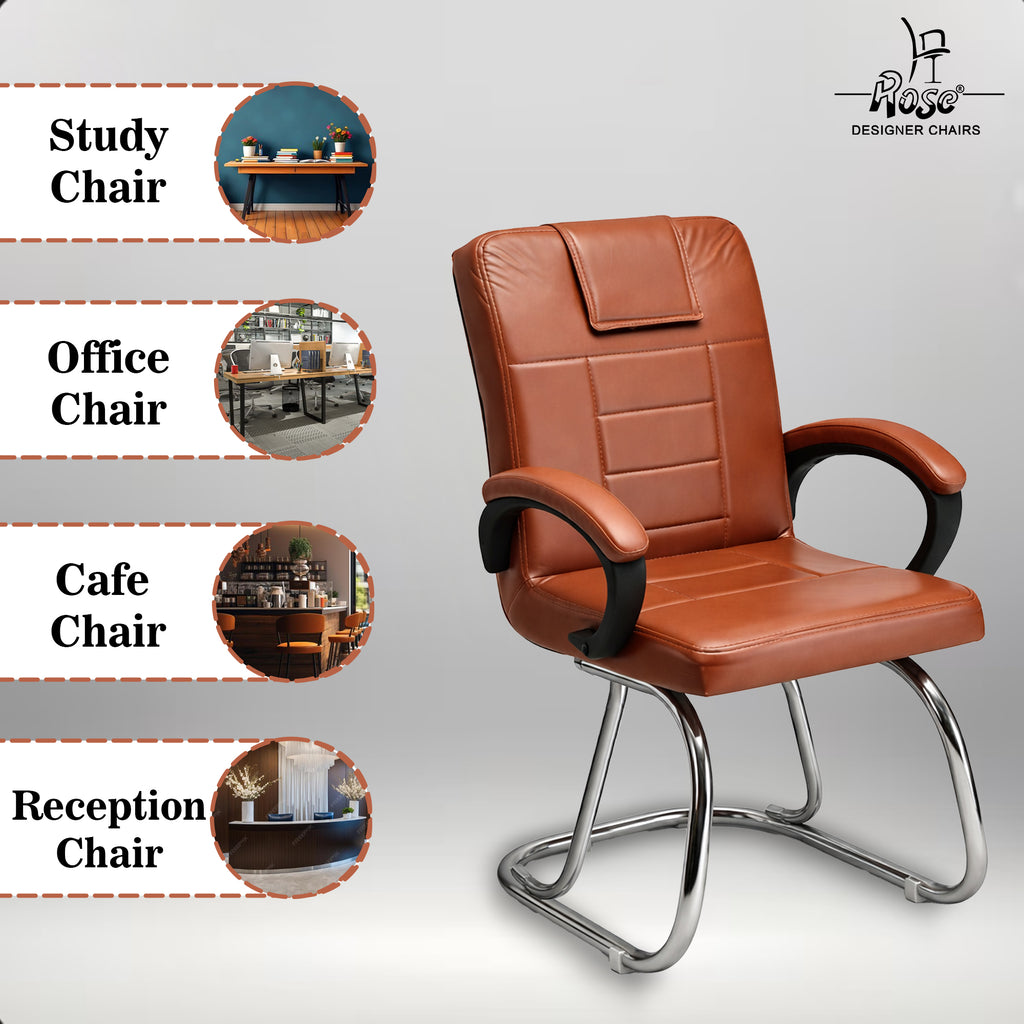 Regalix Exeutive Visitor (Brown)Set of 1 Features 2