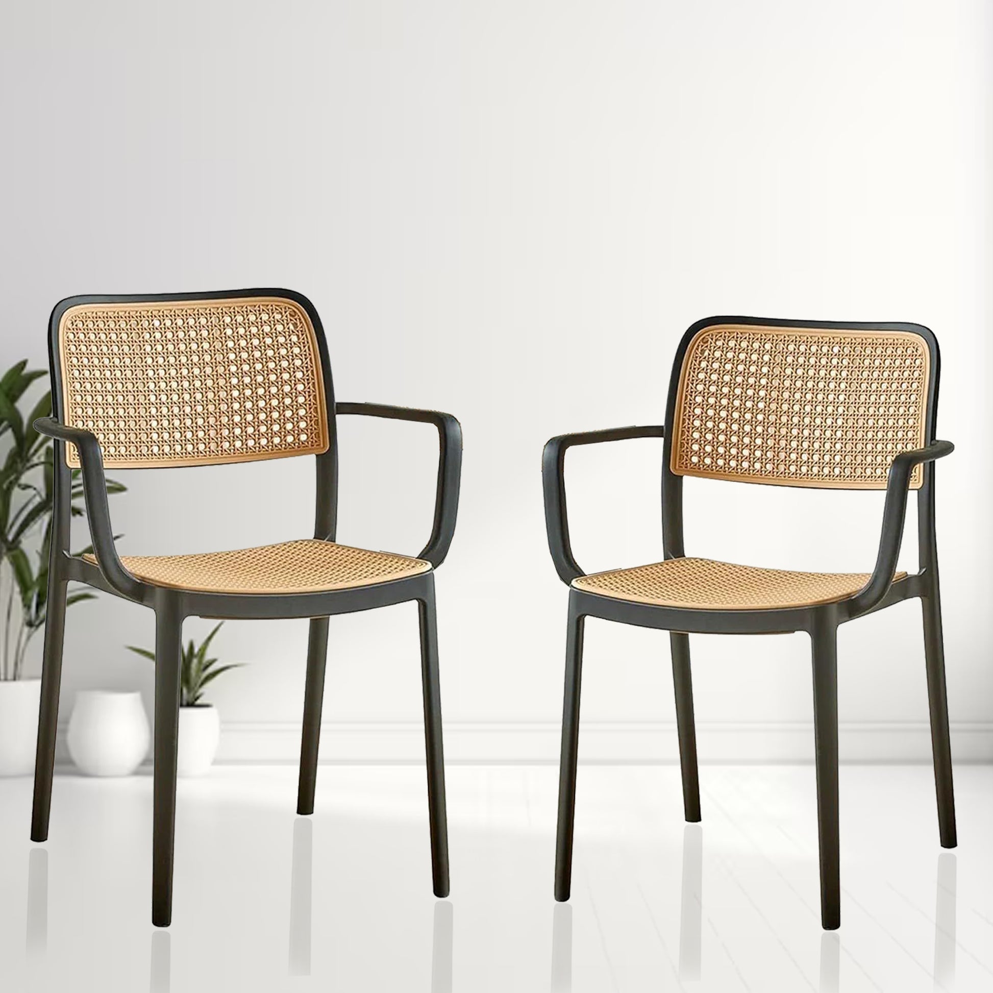 Tokiyo Chair(Black) Set of 2 Bg Img