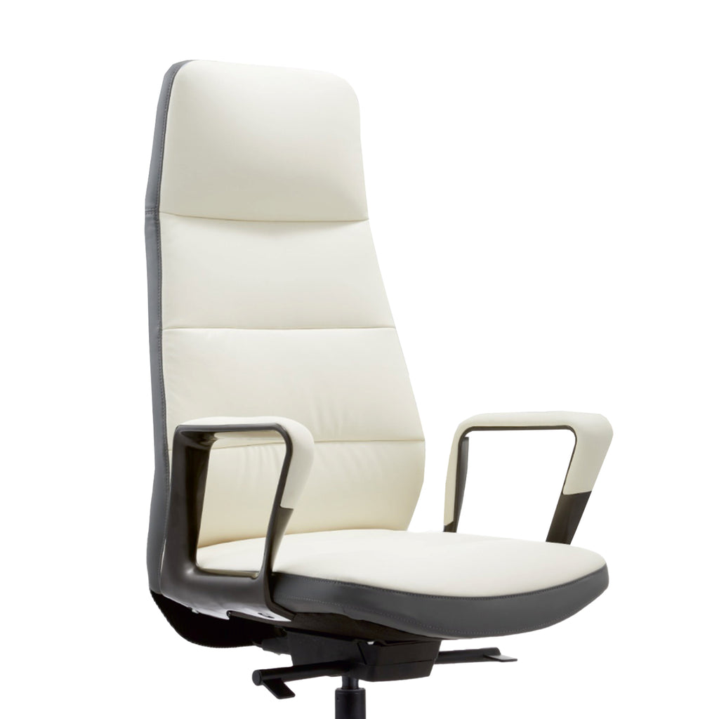 Icon Zoom White