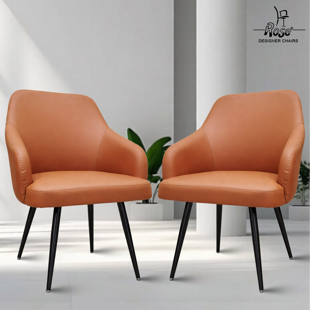 Valencia leather dining chair set of 2 bg img