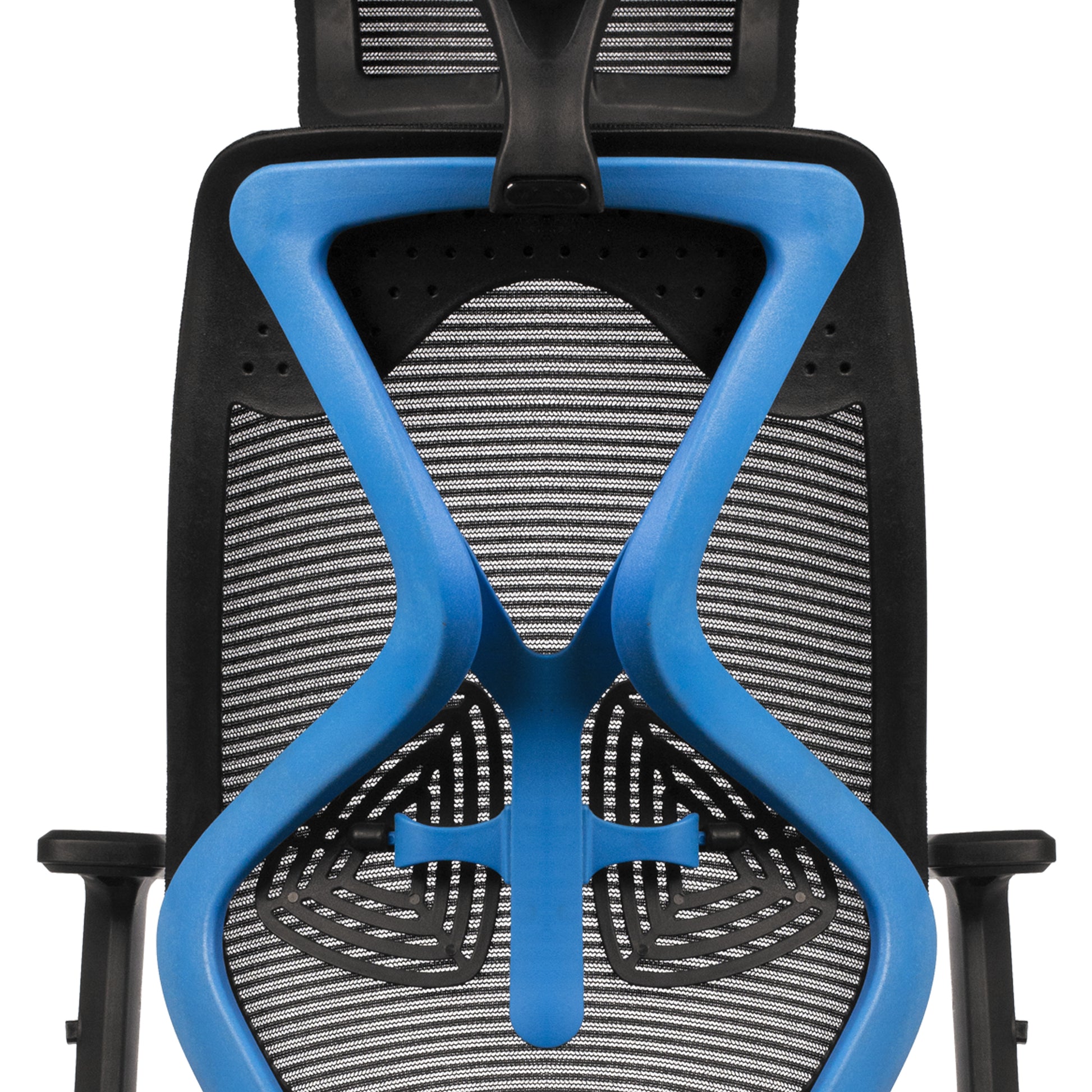 Sydney High Back Blue & Black